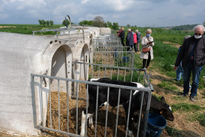 Uhlwiller - Ferme Gibsbach