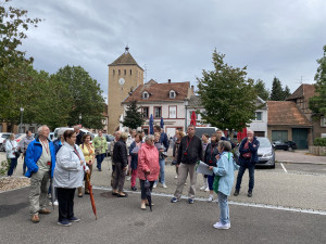 Marché aux bestiaux